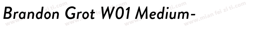 Brandon Grot W01 Medium字体转换